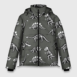 Куртка зимняя мужская Динозавры - скелеты, цвет: 3D-черный