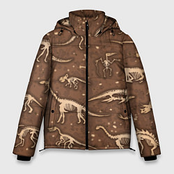 Мужская зимняя куртка Dinosaurs bones