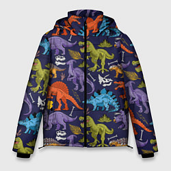 Мужская зимняя куртка Мультяшные динозавры