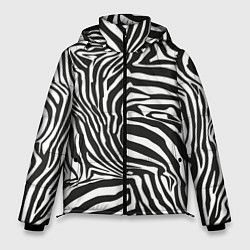 Мужская зимняя куртка Шкура зебры черно - белая графика