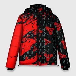 Мужская зимняя куртка Destiny краски надписи текстура