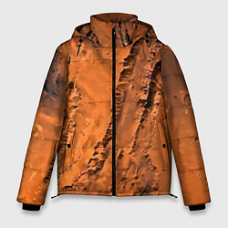 Куртка зимняя мужская Каналы на Марсе - star dust, цвет: 3D-черный