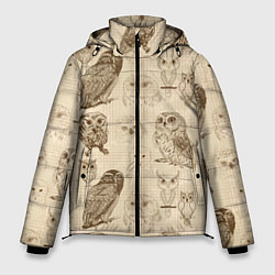 Куртка зимняя мужская Эскизы сов тетрадный лист в клетку, цвет: 3D-черный