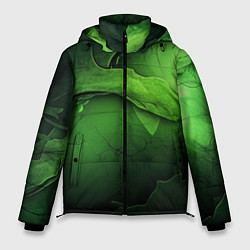 Мужская зимняя куртка Зеленая яркая абстрактная текстура