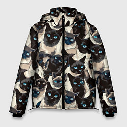 Мужская зимняя куртка Сиамские кошки