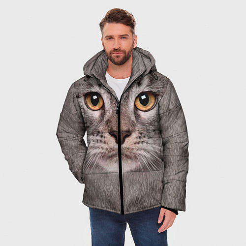 Мужская зимняя куртка Котик / 3D-Светло-серый – фото 3