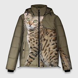 Куртка зимняя мужская Пятнистый котик, цвет: 3D-красный