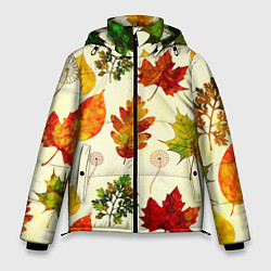 Куртка зимняя мужская Осень, цвет: 3D-черный