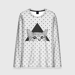 Мужской лонгслив Взгляд кота