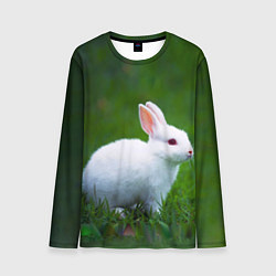 Лонгслив мужской Кролик на фоне травы, цвет: 3D-принт