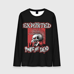 Лонгслив мужской Exploited - punks not dead, цвет: 3D-принт