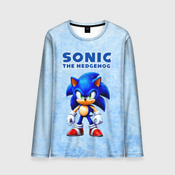 Лонгслив мужской Соник - синий ёж, цвет: 3D-принт