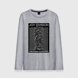 Мужской лонгслив Joy Division: Unknown Pleasures