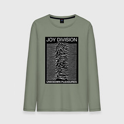 Мужской лонгслив Joy Division: Unknown Pleasures