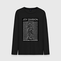 Мужской лонгслив Joy Division: Unknown Pleasures