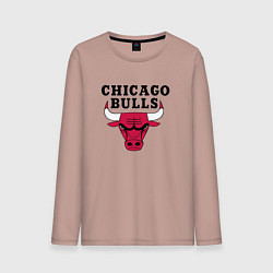 Мужской лонгслив Chicago Bulls