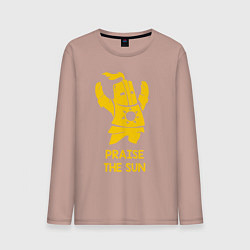 Мужской лонгслив Praise the Sun