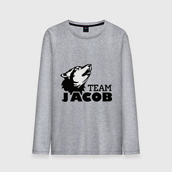Лонгслив хлопковый мужской Jacob team logo, цвет: меланж