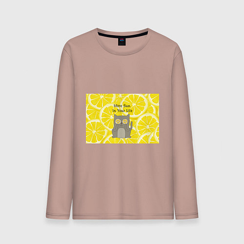 Мужской лонгслив More Sun In Your Life / Пыльно-розовый – фото 1