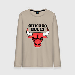 Мужской лонгслив Chicago Bulls