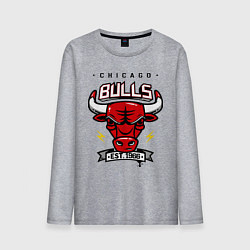 Мужской лонгслив Chicago Bulls est. 1966