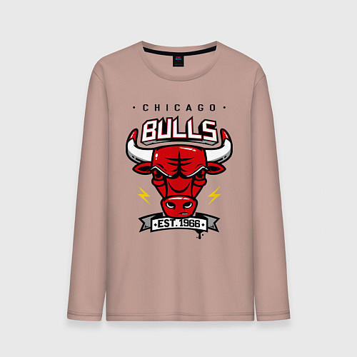 Мужской лонгслив Chicago Bulls est. 1966 / Пыльно-розовый – фото 1