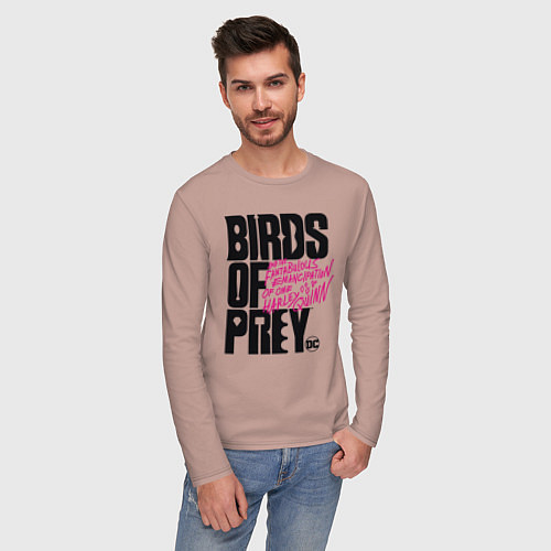 Мужской лонгслив Birds of Prey logo / Пыльно-розовый – фото 3