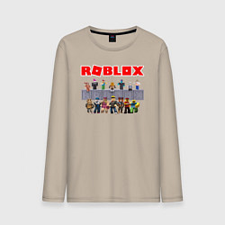 Мужской лонгслив ROBLOX