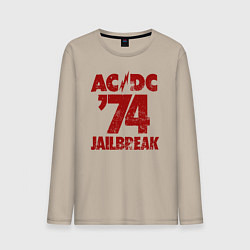 Мужской лонгслив ACDC 74 jailbreak