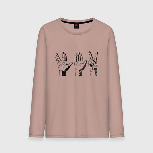 Мужской лонгслив Вулканский салют Z / Пыльно-розовый – фото 1