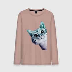 Лонгслив хлопковый мужской Любопытный кот, цвет: пыльно-розовый