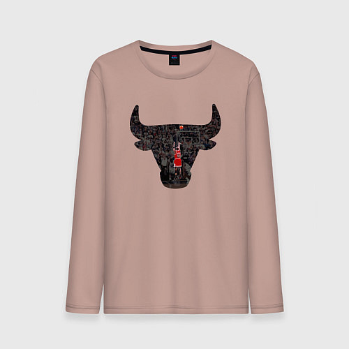 Мужской лонгслив Bulls - Jordan / Пыльно-розовый – фото 1