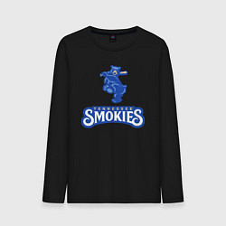 Мужской лонгслив Tennessee smokies - baseball team