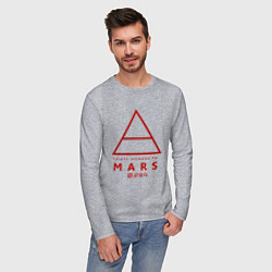 Лонгслив хлопковый мужской 30 Seconds to Mars рок, цвет: меланж — фото 2