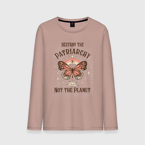 Мужской лонгслив Destroy the Patriachy / Пыльно-розовый – фото 1