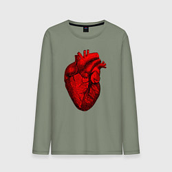 Лонгслив хлопковый мужской Сердце анатомическое, цвет: авокадо