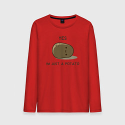 Мужской лонгслив Yes, im just a potato