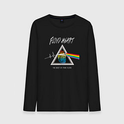 Мужской лонгслив Floyd Heart Pink Floyd