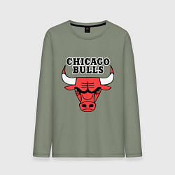 Лонгслив хлопковый мужской Chicago Bulls, цвет: авокадо