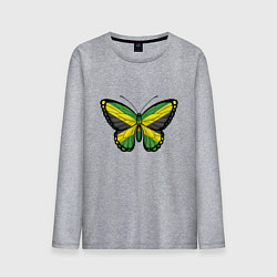 Лонгслив хлопковый мужской Бабочка - Ямайка, цвет: меланж