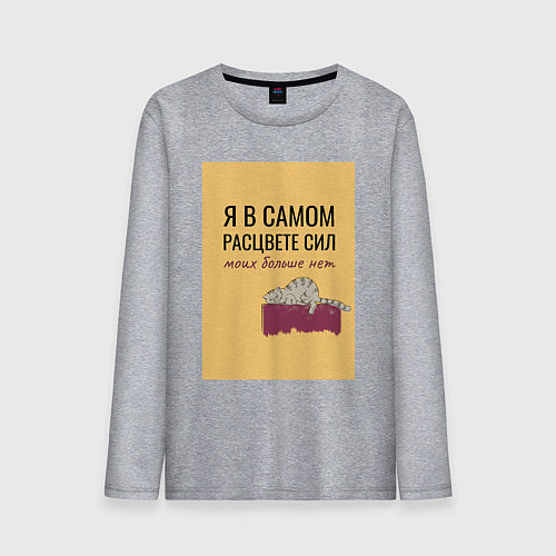 Мужской лонгслив Уставший кот в полном расцвете сил / Меланж – фото 1