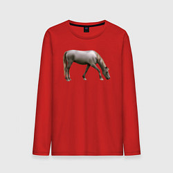 Лонгслив хлопковый мужской Креольская лошадь, цвет: красный