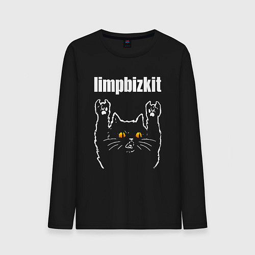 Мужской лонгслив Limp Bizkit rock cat / Черный – фото 1