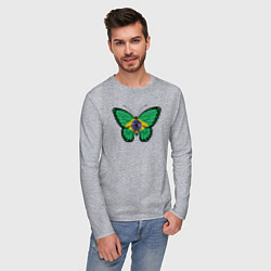 Лонгслив хлопковый мужской Бразилия бабочка, цвет: меланж — фото 2