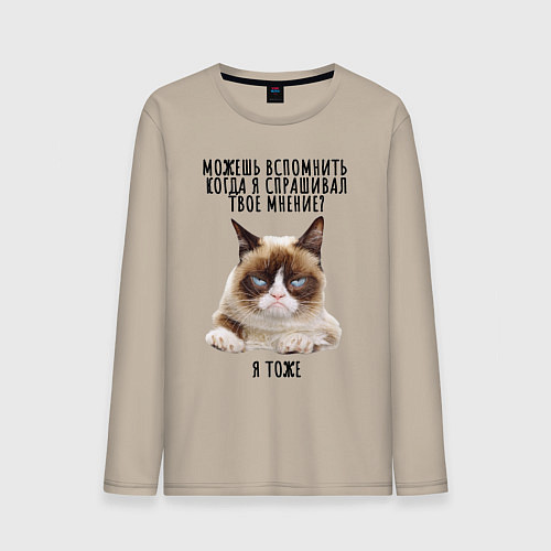 Мужской лонгслив Кот-ворчун мем / Миндальный – фото 1