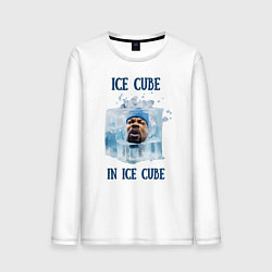 Мужской лонгслив Ice Cube in ice cube