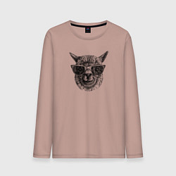 Лонгслив хлопковый мужской Альпака в солнечных очках, цвет: пыльно-розовый