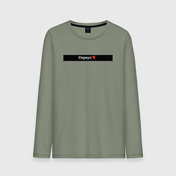 Лонгслив хлопковый мужской Сириус города России, цвет: авокадо