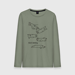 Лонгслив хлопковый мужской Not today спящие коты, цвет: авокадо