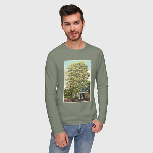 Мужской лонгслив Хаяо Миядзаки - studio ghibli / Авокадо – фото 3